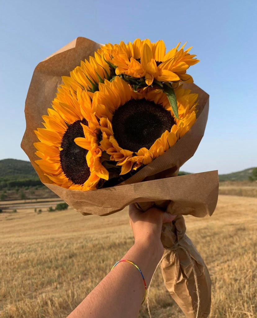Éclat de soleil